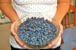 blueberries ready to make into jam